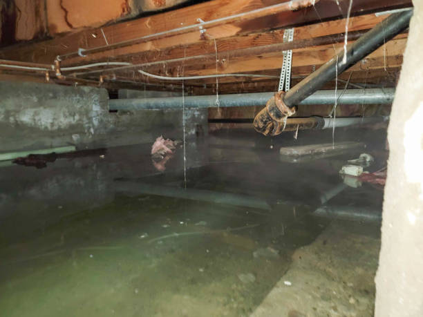 Professional Water damage restoration in Royal Kunia, HI