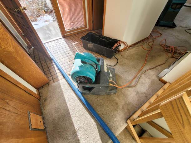  Royal Kunia, HI Water damage restoration Pros