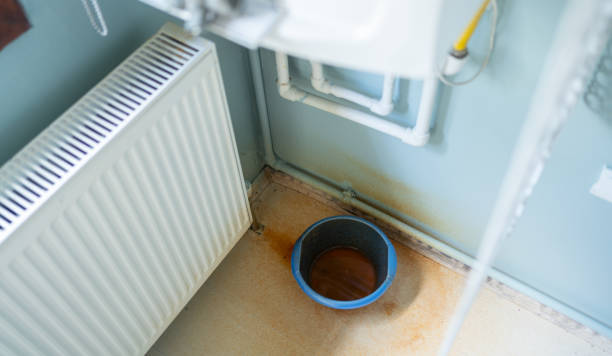 Best Water damage restoration services  in Royal Kunia, HI