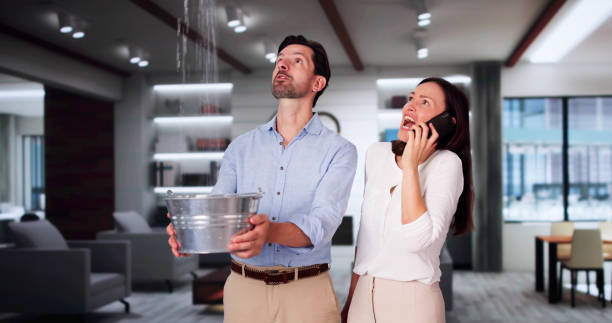 Best Ceiling water damage repair  in Royal Kunia, HI