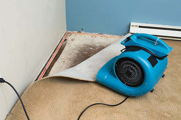 Best Sewage cleanup and water damage restoration  in Royal Kunia, HI