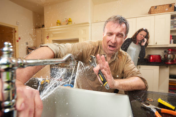 Best Basement water damage restoration  in Royal Kunia, HI